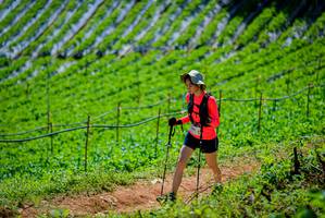 BIB: 
                            <button type="button" onclick="openModal(19164776)" class="btn btn-primary btn-sm float-right btn-popup" data-toggle="modal" data-target=".modal-high-quality">
                        <i class="fas fa-shopping-cart"></i> Add to Cart
                    </button>
                                            <button type="button" onclick="isThisMe(19164776, true)" class="btn btn-success btn-sm float-right btn-popup btn-isme hidden" data-toggle="tooltip" data-placement="bottom" title="นี่คือรูปของคุณใช่ไหม คลิกที่นี่เพื่อเอาเข้าอัลบั้ม">
                        <i class="fas fa-plus"></i> Add to album
                    </button>
                    <button type="button" onclick="isThisMe(19164776, false)" class="btn btn-warning btn-sm float-right btn-popup btn-isnotme hidden">
                        <i class="fas fa-ban"></i> Remove from album
                    </button>